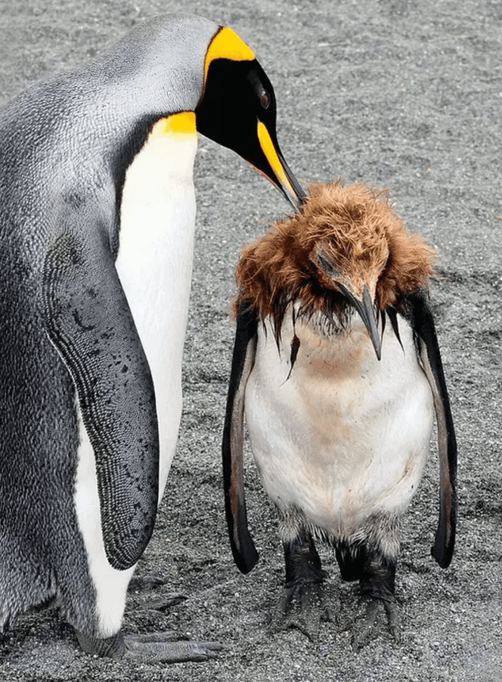 AdoleScents: Smells Like Teen&nbsp;Spirit